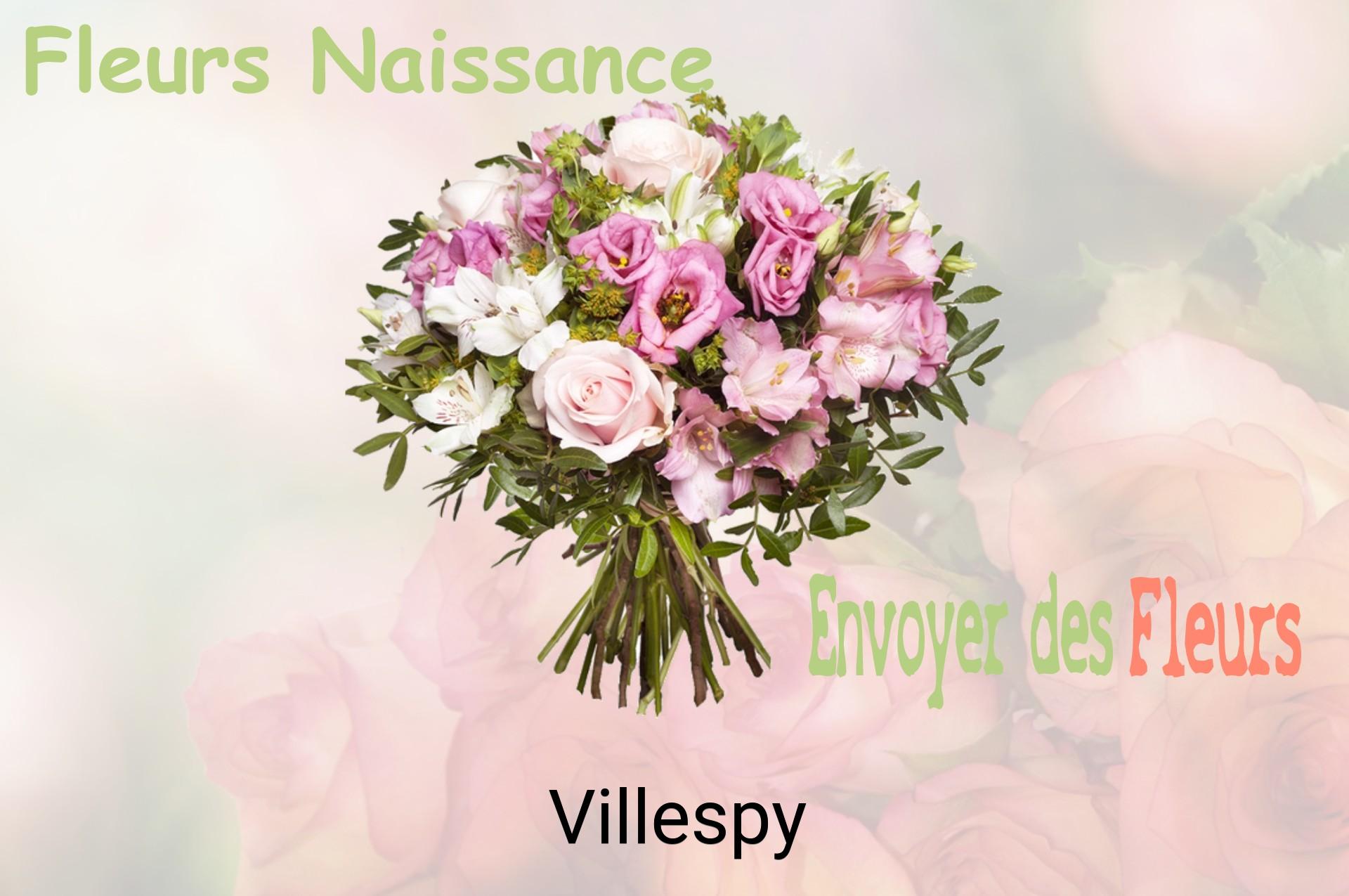 Bouquet de fleurs de naissance livré à Villespy